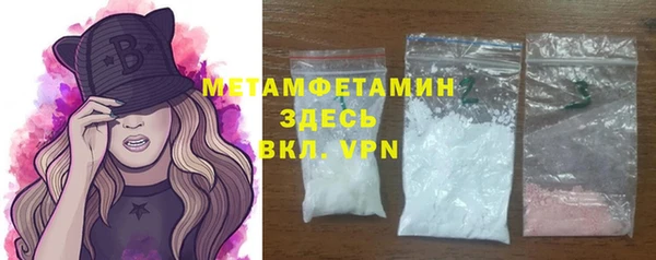 индика Осинники