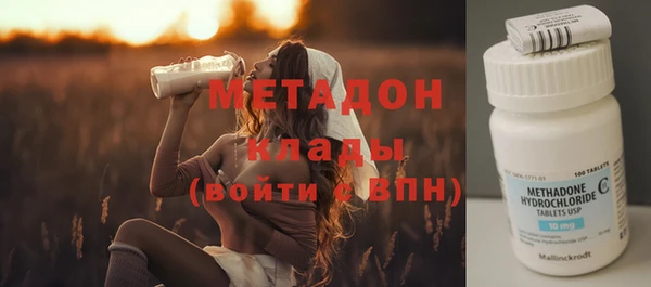 индика Осинники