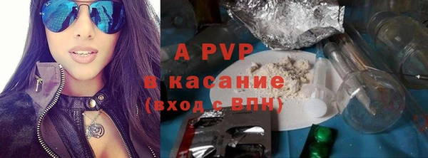 дмт Пересвет